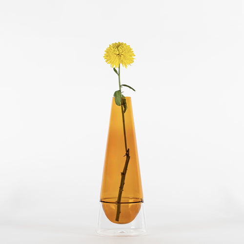 35 cm - Conosfera Vase à fleurs en verre borosilicaté