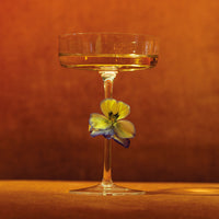 16 cl - Zafferano Sam Calice Cocktail Martini In Vetro Set 4 Pz