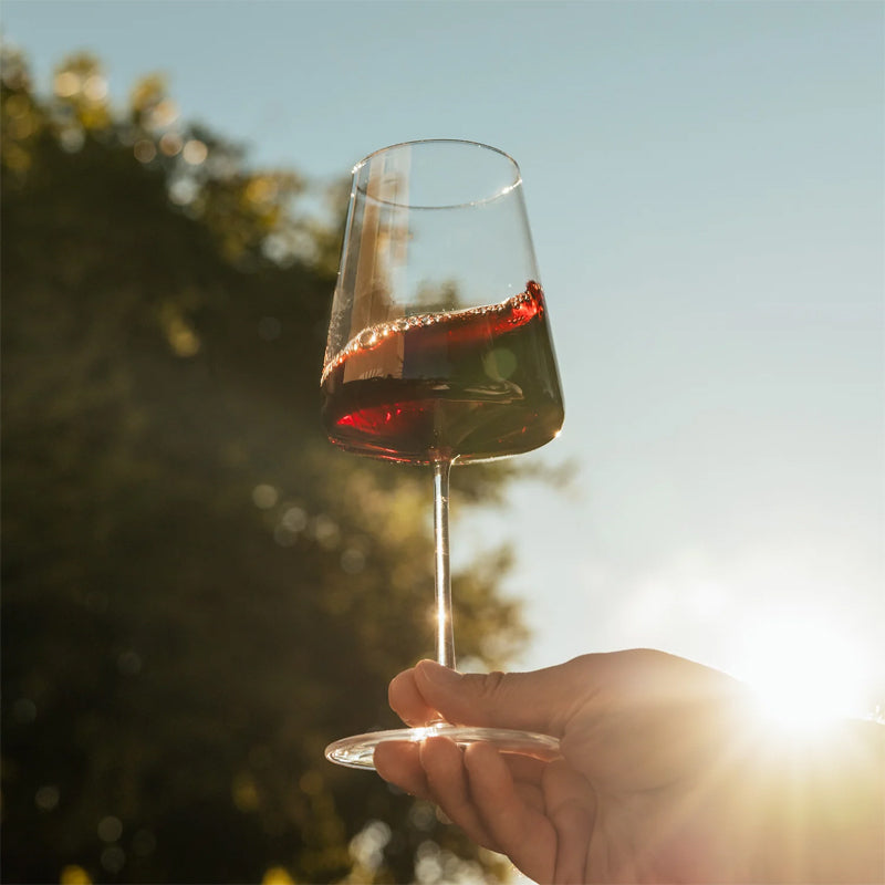 52 cl - Power Red Wine Goblets - Set 6 Pieces