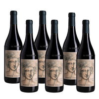 Cascine Drago Nebbiolo D'Alba DOC 2023 Poderi Colla