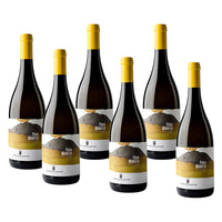 Bianco Etna DOC 2024 - Barone Di Villagrande