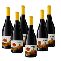 Bianco Etna DOC 2024 - Barone Di Villagrande