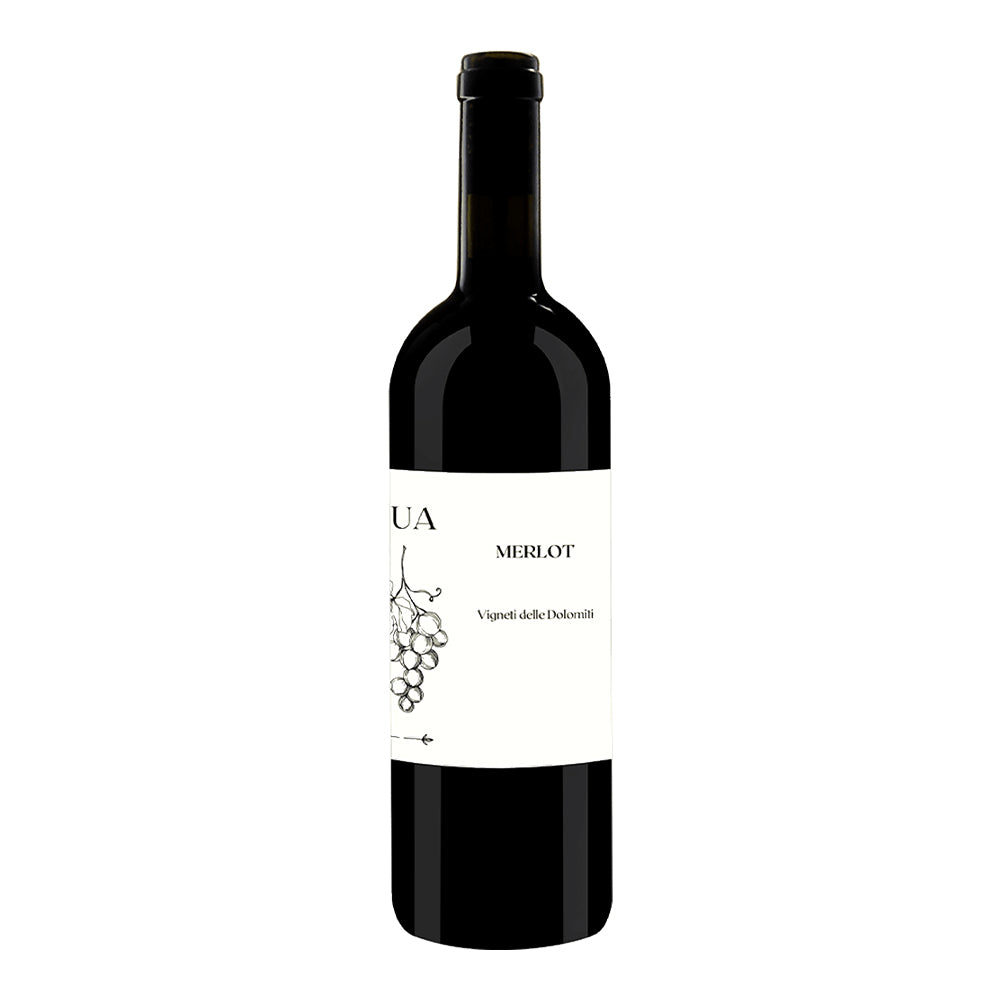 Merlot Vigneti Delle Dolomiti IGT 2023 - L'Ua