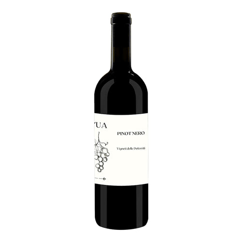 Pinot Nero Vigneti Delle Dolomiti IGT 2023 - L'Ua