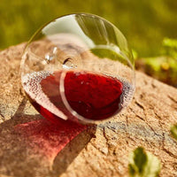 96 cl - Zalto Denk'Art Calice Vino Rosso Omega Gravitas In Vetro Cristallino Set 2 Pz