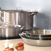 Acciaio Inox Poêle À Induction Basse Avec Deux Poignées