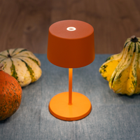 22 cm - Olivia Mini Table Lamp