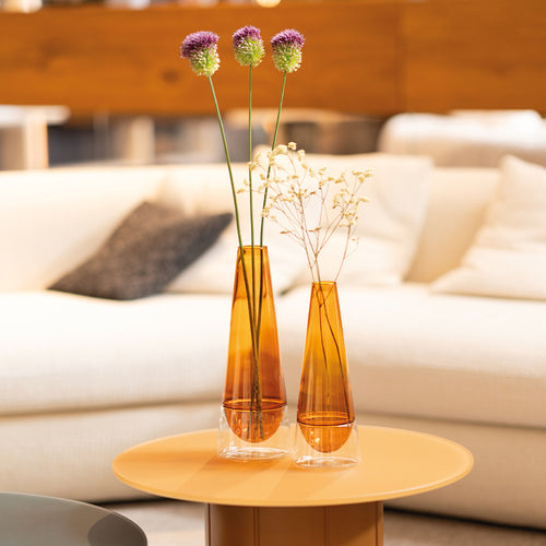 25 cm - Conosfera Vase à fleurs en verre borosilicaté