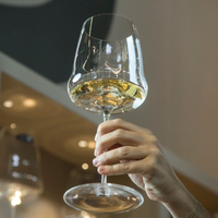 73.6 cl - Winewings Verre Vin Blanc en Verre